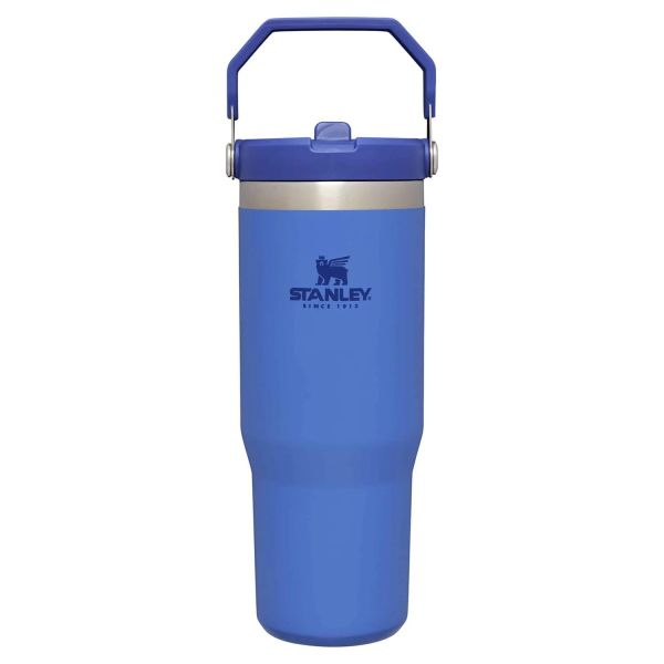 Stanley The IceFlow Flip Straw Pipetli Termos Bardak 0,89 Lt Mavi